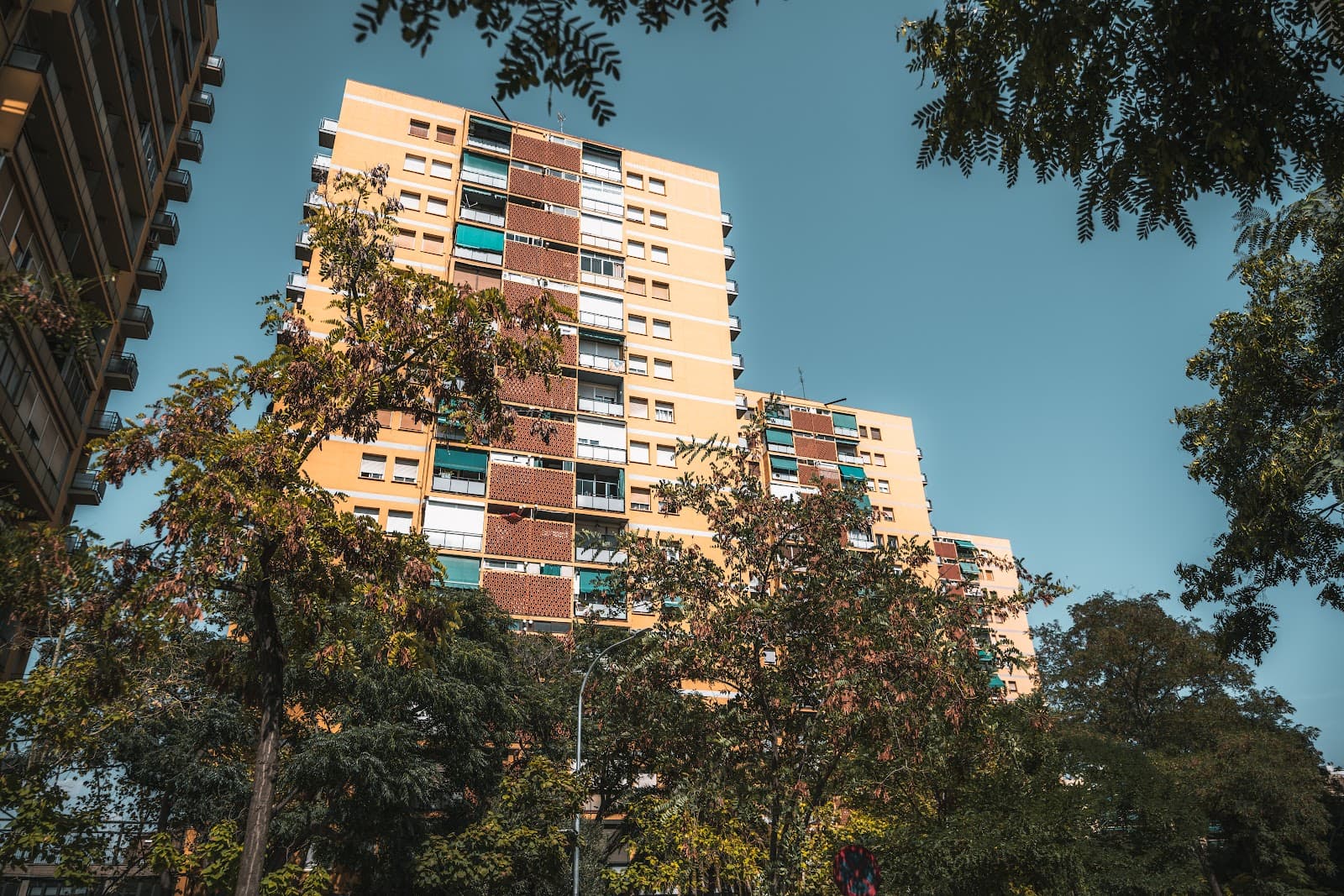 Fachada de casas residenciais enfileiradas sob a luz do dia
